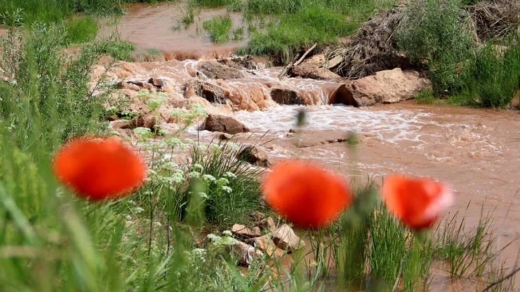 Fadlum Irmağı kuraklıkla mücadele ediyor: Kızılırmak kırmızısını kaybediyor 5